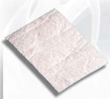 CYTOPLAST RTM コラーゲン メンブレン (30 x 40mm) 2枚入