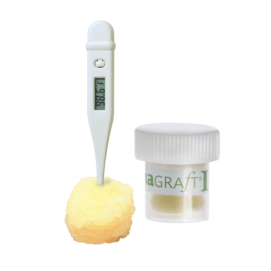 DynaGraft - D パテ 5.0cc