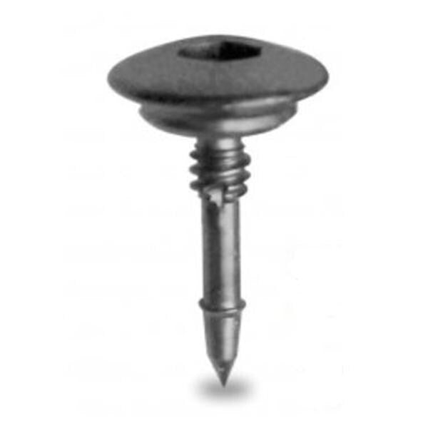 ボーン タック TruTACK 5mm Bone Tack (チタン製)