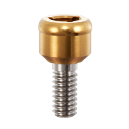 5.0 ENDOPORE (Internal Hex Connection) - 6.0mm