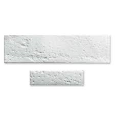 Puros Dermis Thin Tissue Matrix 10 x 40mm - GBR用