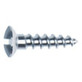 1.5mm Diameter Screw 直径 1.5ミリ ネジ (6mm) 1本