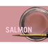 MiYO PINK Gingival Esthetic System SALMON
